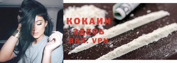 дживик Россошь