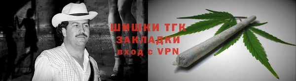 дживик Россошь