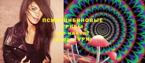 дживик Россошь