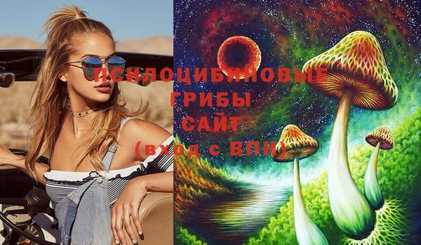jwh Алзамай