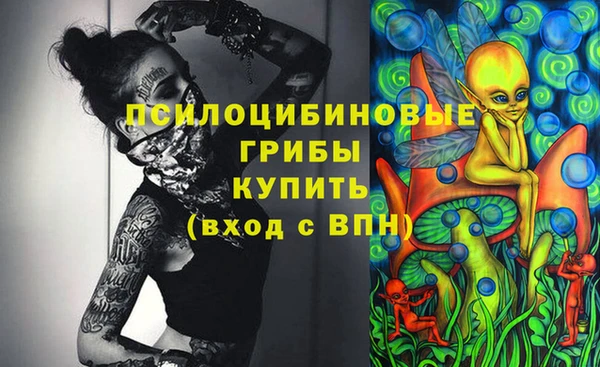 дживик Россошь