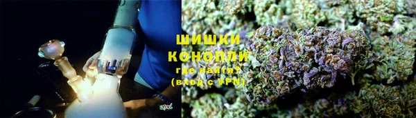 дживик Россошь