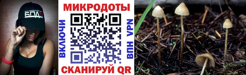 Галлюциногенные грибы Cubensis  закладки  мега   Кизляр 