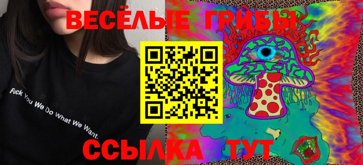 Галлюциногенные грибы Psilocybe  Галлюциногенные грибы GOLDEN TEACHER  Вход с VPN  Кизляр 
